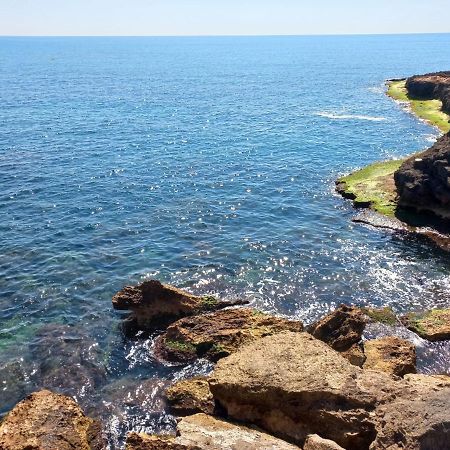 Apartment Only 250M From The Beach Los Locos 托雷维耶哈 外观 照片