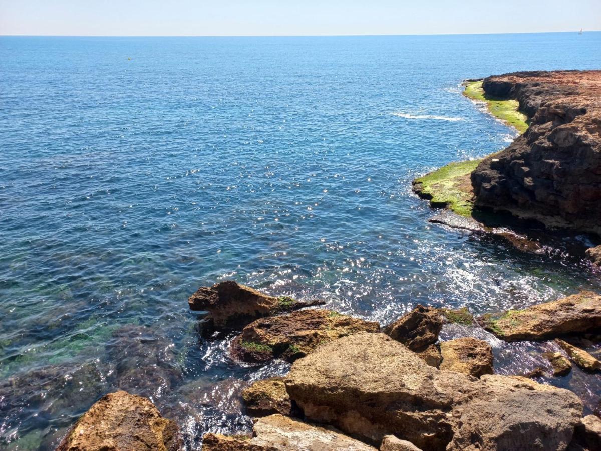Apartment Only 250M From The Beach Los Locos 托雷维耶哈 外观 照片