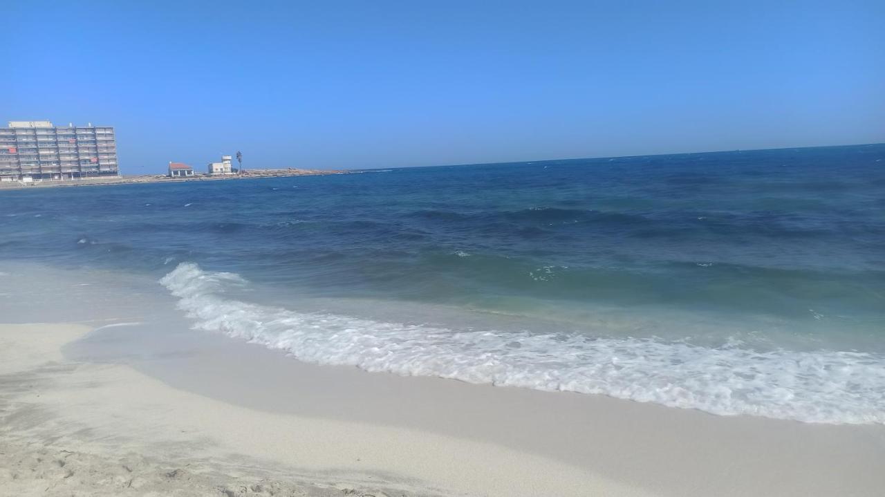 Apartment Only 250M From The Beach Los Locos 托雷维耶哈 外观 照片