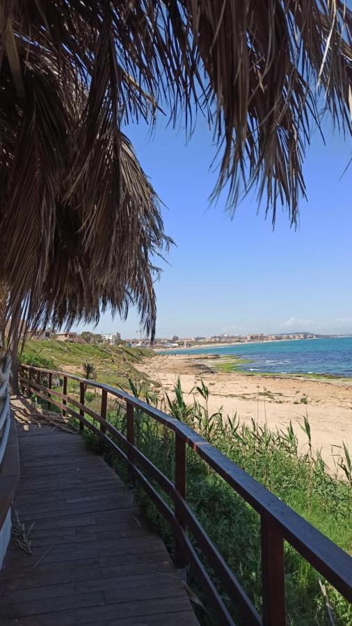 Apartment Only 250M From The Beach Los Locos 托雷维耶哈 外观 照片