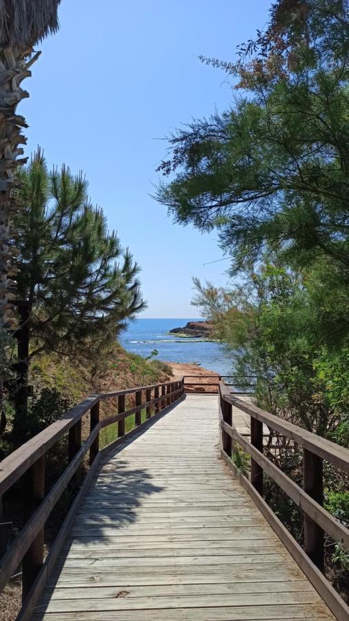 Apartment Only 250M From The Beach Los Locos 托雷维耶哈 外观 照片