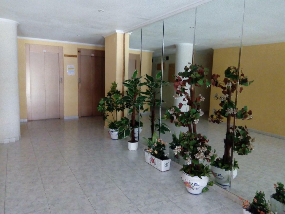 Apartment Only 250M From The Beach Los Locos 托雷维耶哈 外观 照片